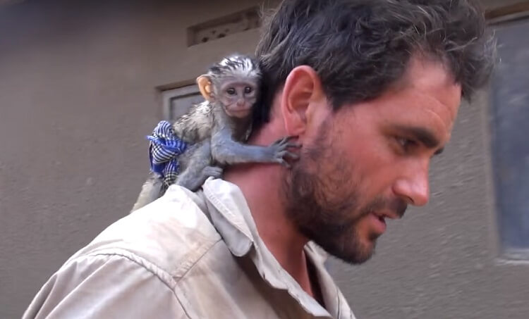 Мужчина спас обезьянку из огня. Благодарность этой малышки не знает границ!