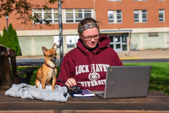 В Университете Пенсильвании студентам разрешили держать кошек и собак