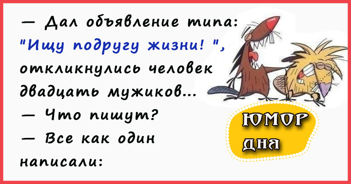 Дал объявление типа: «Ищу подругу жизни! «